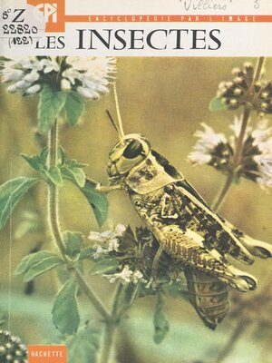 cover image of Les insectes